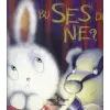 Bu Ses de Ne?