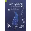 Cam Tşan - Bir Hıdrellez Günü