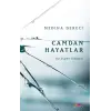 Camdan Hayatlar - Bir İçişleri Hikayesi