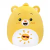 Care Bears Serisi 25 cm MODEL SORUNUZ