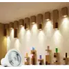 CATA CT 4212 10W Led Çanak Ampul 3200K Gün Işığı