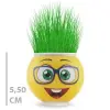 Çim Adam Saksı Emoji Figürlü 1 Adet