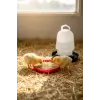 Civciv Suluk 0,75 ML Kaliteli Plastik + Tabak Yemlik