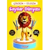 Çizerim Silerim - Sayılar Dünyası