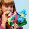 Creator 3’ü 1 Arada Vahşi Hayvanlar: Renkli Sinek Kuşu 31384