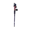 Dağcı Yürüyüş Bastonu Wt-080