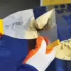 Dekor 051 Oto Ispatulası