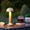 Dekoratif Led Masa Lambası Mz-327