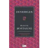 Denemeler