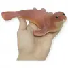 Deniz Hayvanları Serisi - Fok 20 cm - 1 ADET