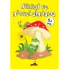 Dikkat ve Görsel Aılama (5+ Yaş)