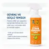 Doğal Bitkisel Leke Çıkarıcı Arındırıcı 500 ml