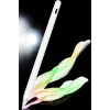 Dokunmatik Kalem Beyaz Şarjlı Yedek Uçlu Android ve İOS Uyumlu