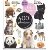 Eğlen Öğren Bebek Hayvanlar 400 Çıkartma