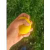 El Bilek Güçlendirme Topu
