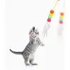 Elastik Yapışkanlı Kedi Oyun Oltası