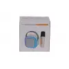 EMR-102 KUTULU 2Lİ KARAOKE MİKROFON
