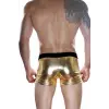 Erkek Fantezi Boxer
