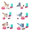 EVCİL HAYVAN TOP İÇİNDE YAVRU KEDİ