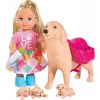 Evi Köpeği ve 3 Yavrusu SMB-105733072