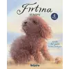 Fırtına