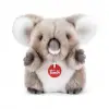 Fluffy Koala
