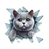 Fulcar Kedi Tasarımlı Araç Stickerı