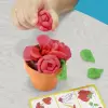 G0492 Play-Doh Renkli Çiçekler Botanik Oyun Seti +3 yaş