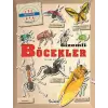 Gizemleri Öğrenelim -  Böcekler