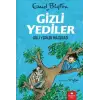 Gizli Yediler - Gizli Yediler Macerası