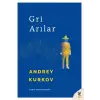 Gri Anılar