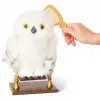 Harry Potter Büyüleyici Hedwig