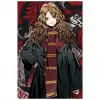 Hermione Granger Figür ve 300 Parça Puzzle