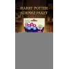 Harry Potter Koleksiyon Figür Seti 2li - Sürpriz Temalı Oyuncak