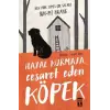 Hayal Kurmaya Cesaret Eden Köpek