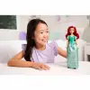 HLW10 Disney Prenses -