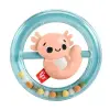 HRB19 Fisher-Price Sensimals Dişlik Seti