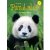 İlk Okuma - Pandalar
