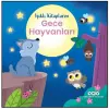 Işıklı larım: Gece Hayvanları