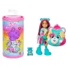 JGH75 Chelsea Cutie Reveal Care Bear 2. Seri