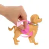JJB46  ve Köpekçiğin Yürüyüş Zamanı