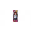 JKDP25355 Disney Princess Mini Bebekler