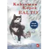 Kahraman Köpek Balto - Ciltsiz