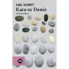 Kara ve Deniz