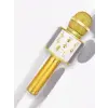 KAREOKE  MIKROFON