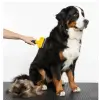 Kedi & Köpekler İçin Tüy Alıcı 7 cm