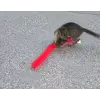 Kedi Tırmalama Fırçası - Kedi Oyuncağı