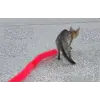 Kedi Tırmalama Fırçası - Kedi Oyuncağı