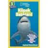 Kids - Köpek Balıkları!