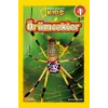 Kids - Örümcekler